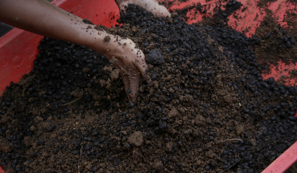 Soil Preparation For Successful Planting In Australia