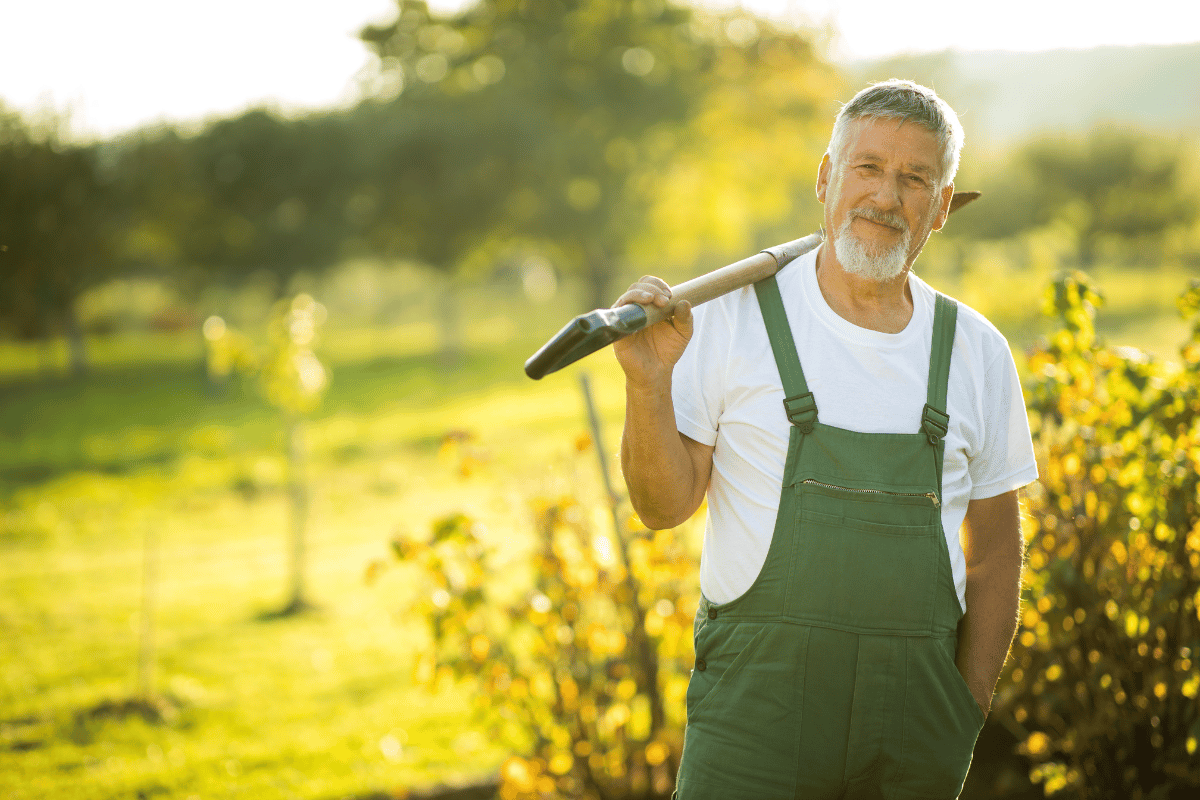 How Much Do Gardeners Charge Per Hour In Melbourne 