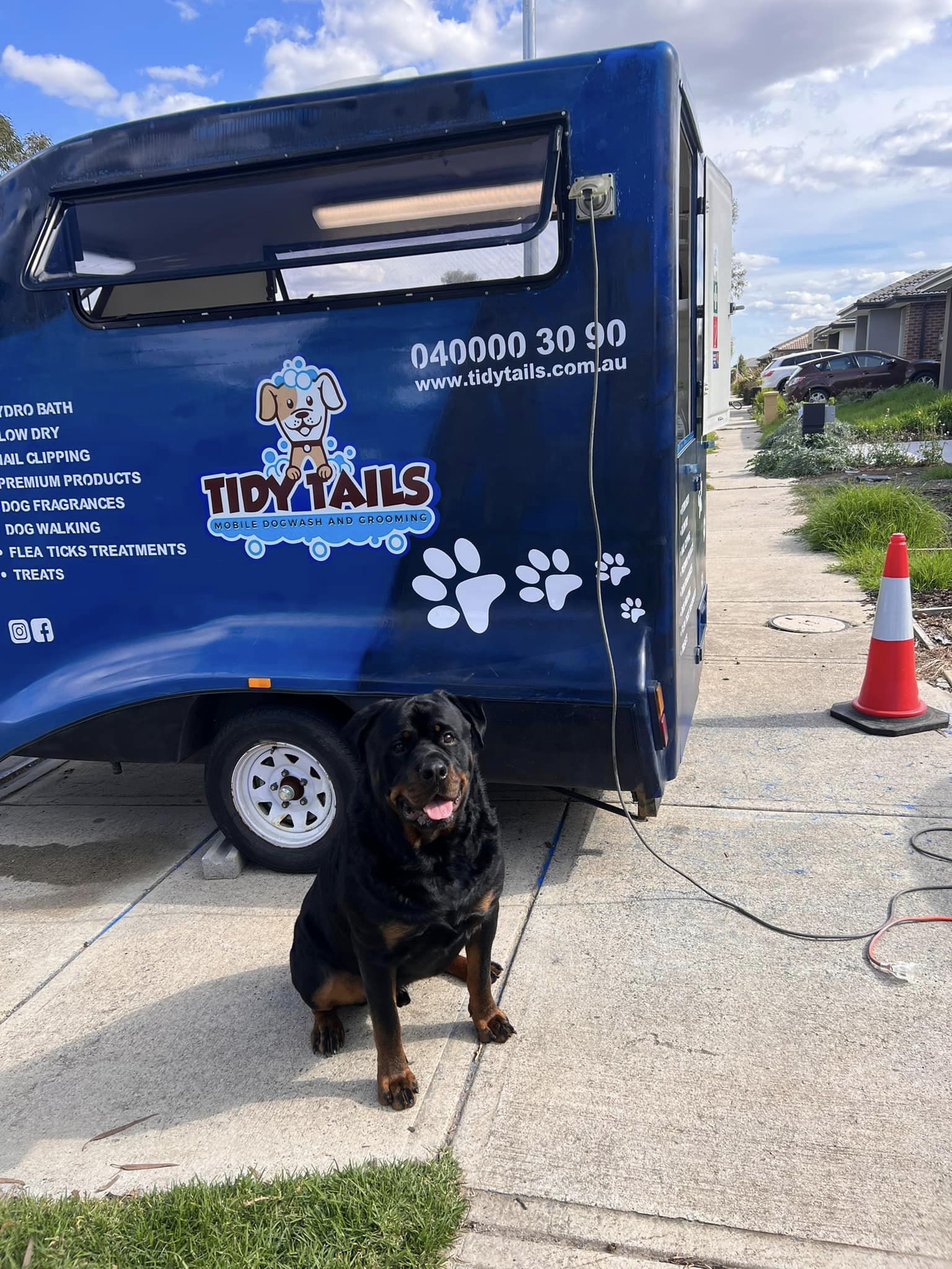 Top 10 Best Rated Mobile Dog Groomers In Melbourne   Tidy Tails Mobile Dog Grooming 