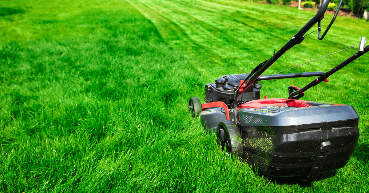 lawn mower in progress