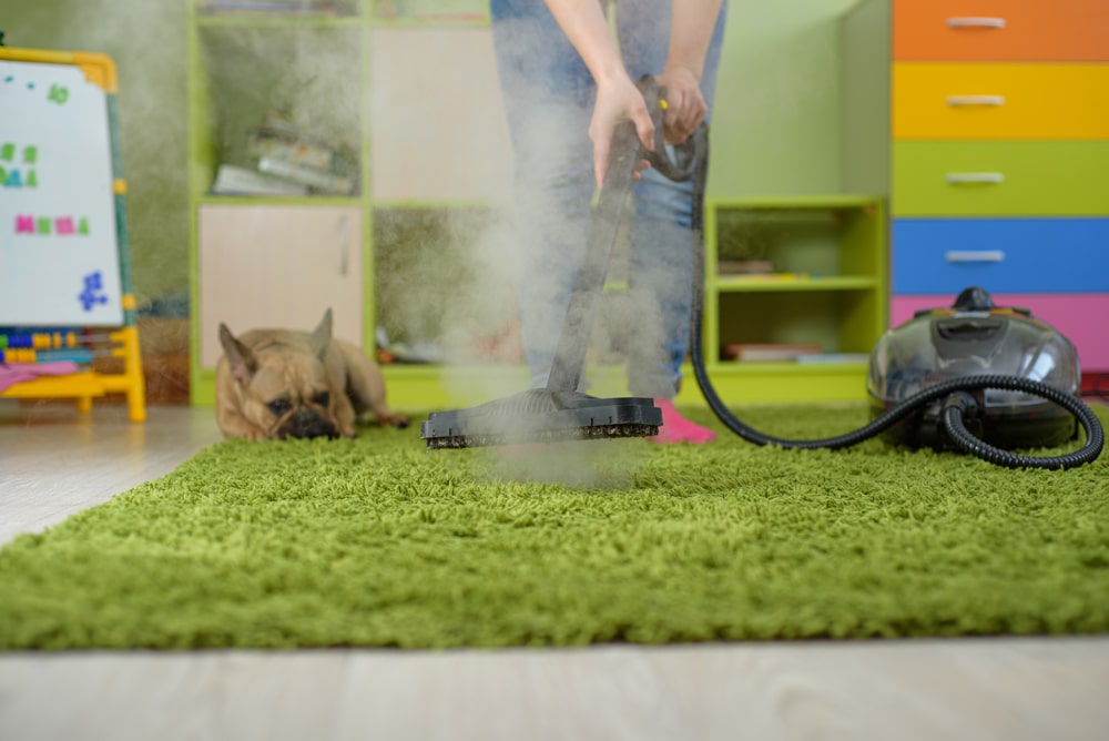 Woman cleaning carpet withsteam generator in the children room. destroying allergens - house dust mites and pet hair