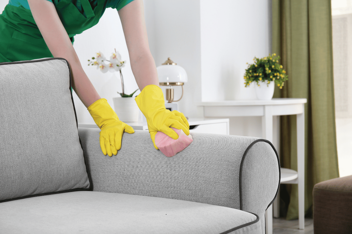 Cleaner with Rubber Gloves Cleaning Couch with Sponge at Home